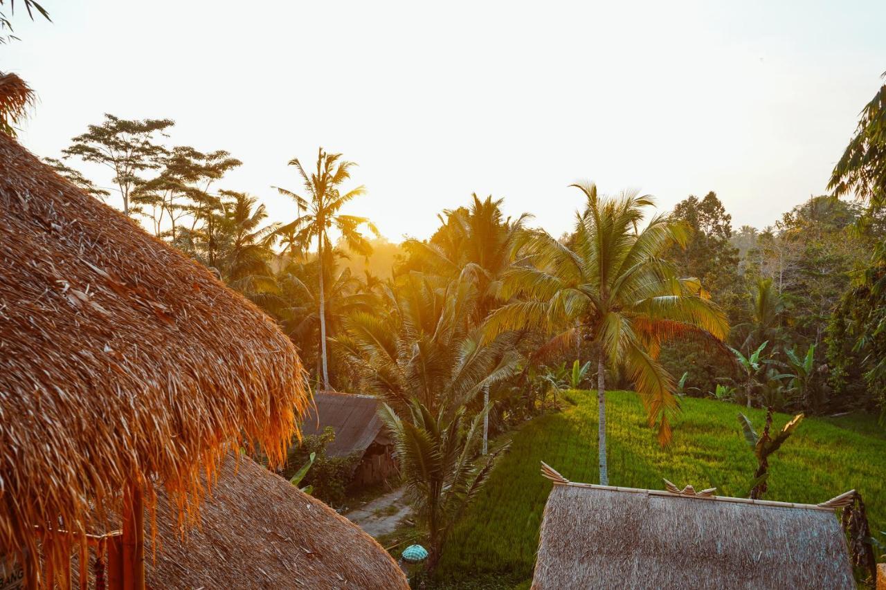 Bali Bamboo Jungle Huts And Hostel Tampaksiring Bagian luar foto