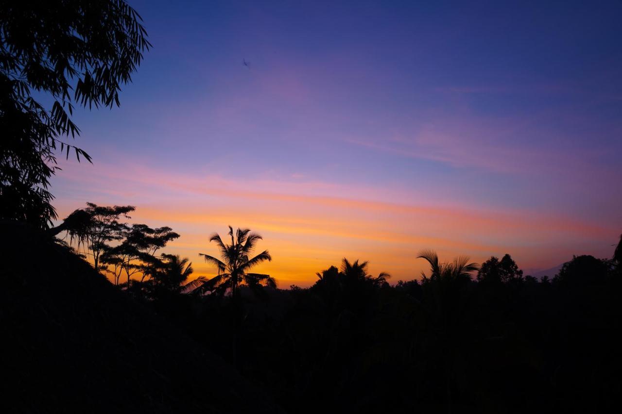 Bali Bamboo Jungle Huts And Hostel Tampaksiring Bagian luar foto